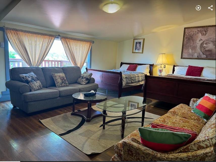 78 Montague Βίλα Digby Εξωτερικό φωτογραφία