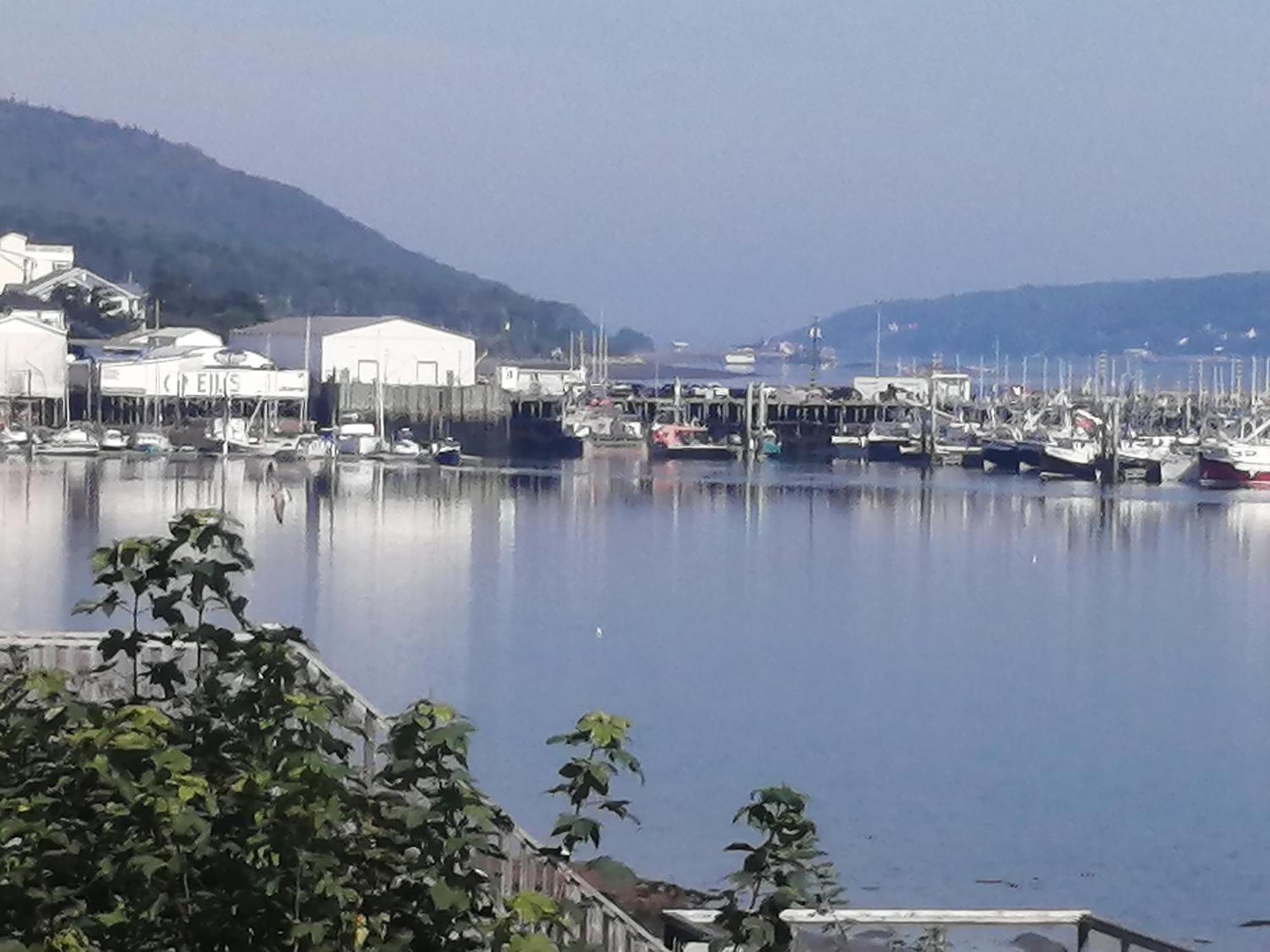 78 Montague Βίλα Digby Εξωτερικό φωτογραφία